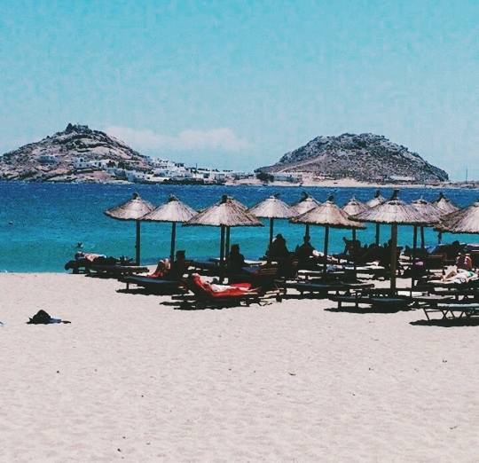 Paradisee