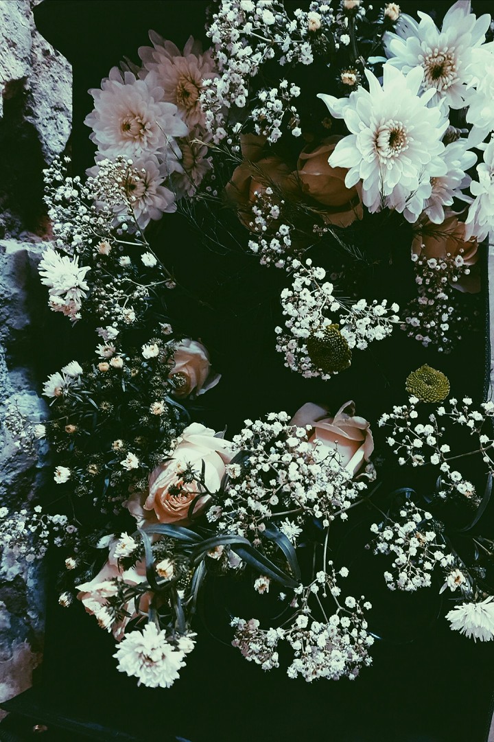 floral explotion