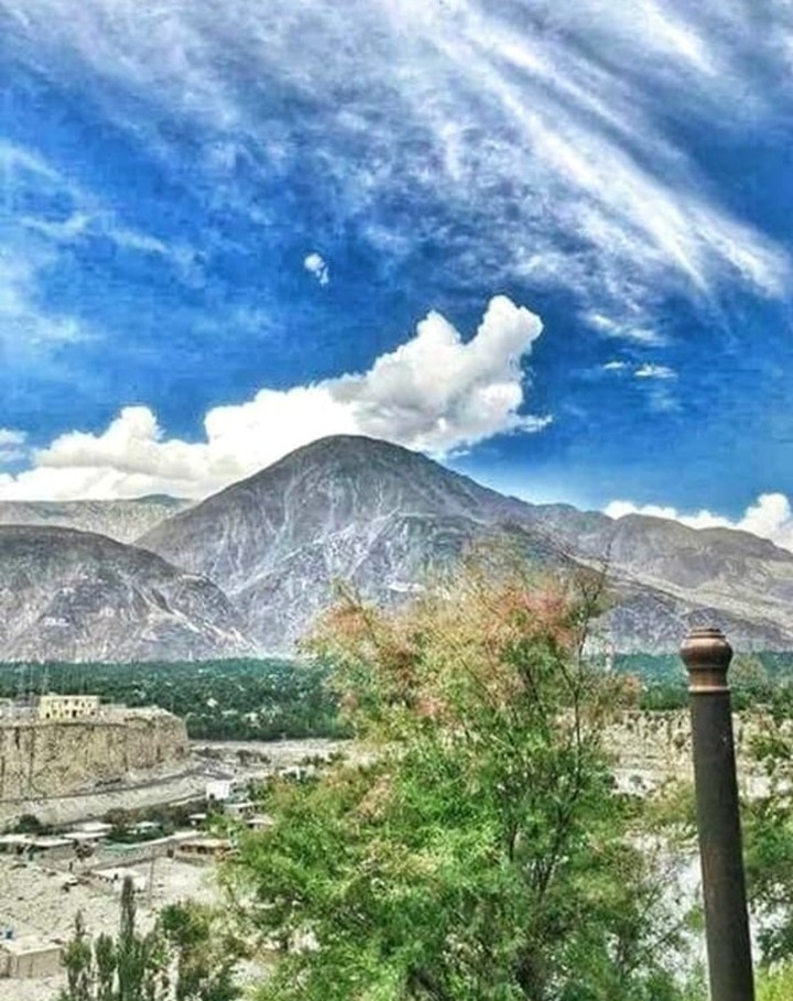 NATURE