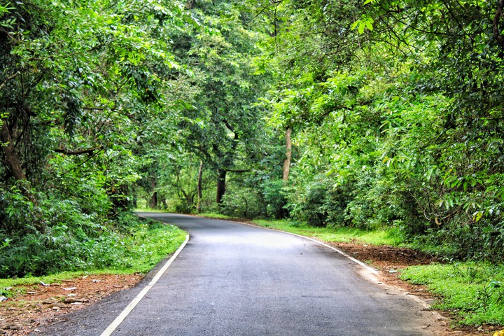 greenery