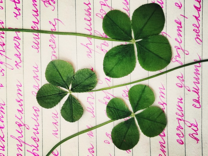 lucky