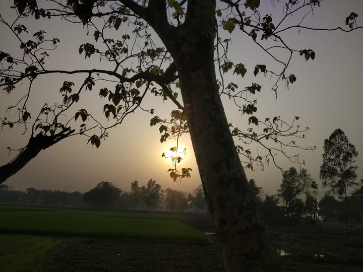Sunset