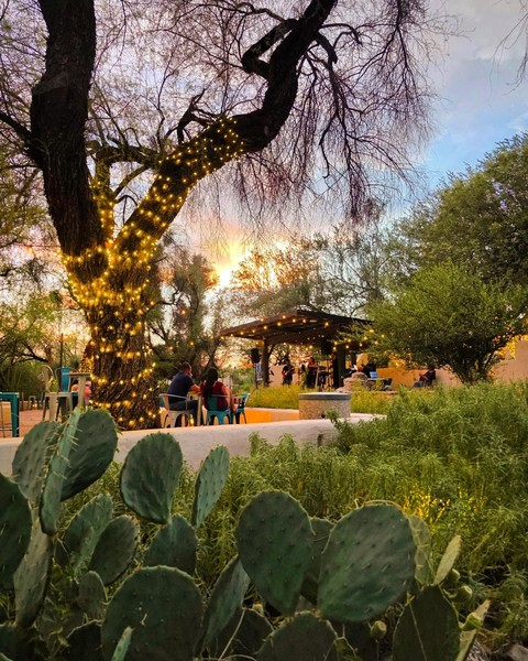 Life and Garden
