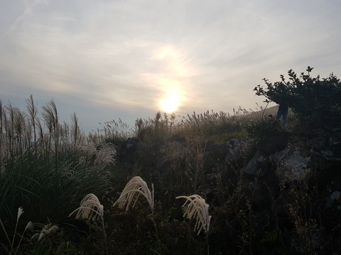 jeju sunset