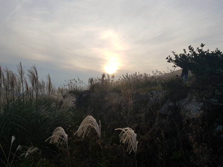 jeju sunset