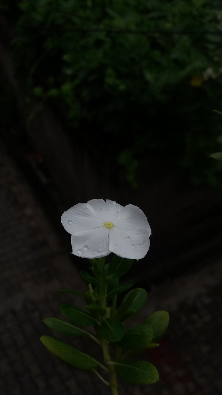 nature