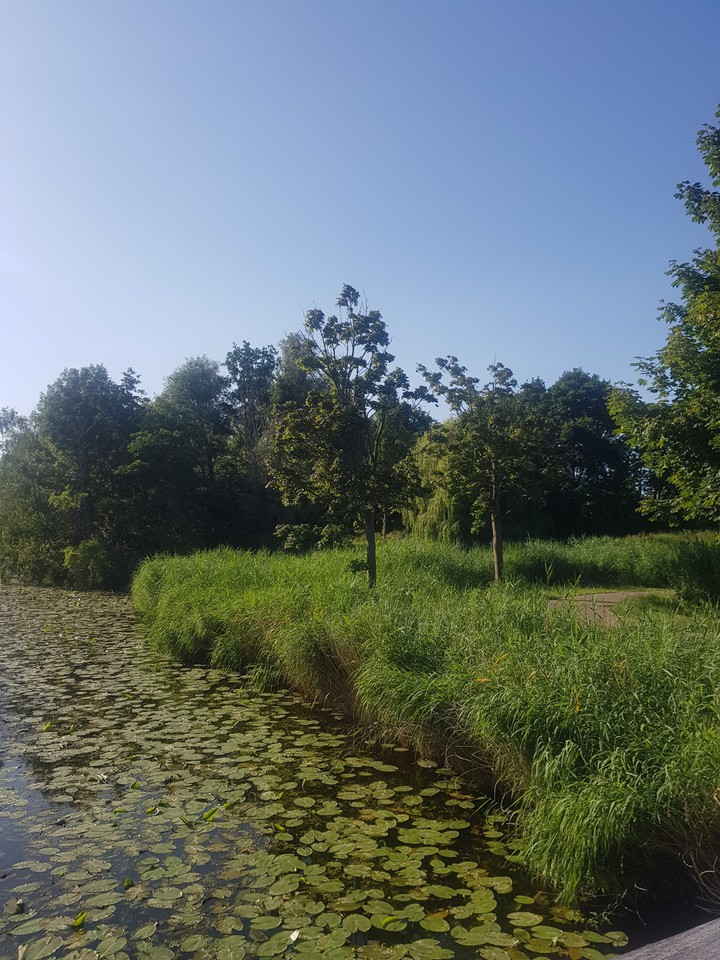 a sunny day