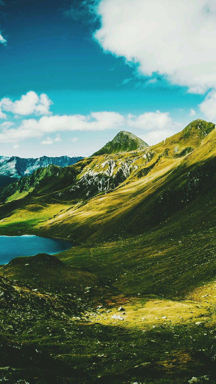 green