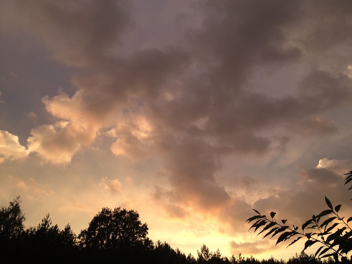 yellow sky