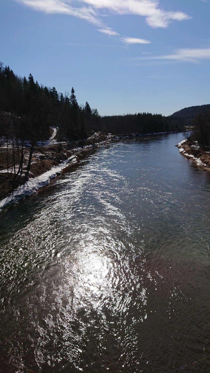 upe Gauja