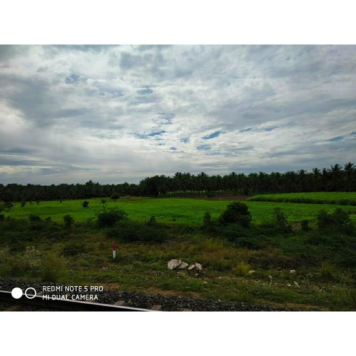 Green and green