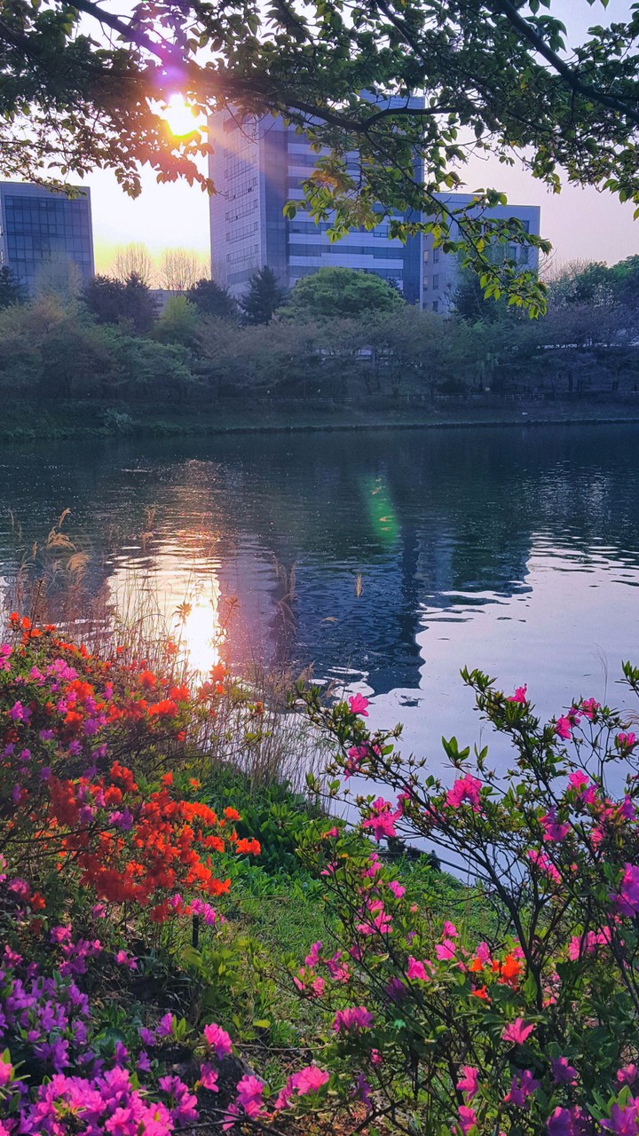 lake walk