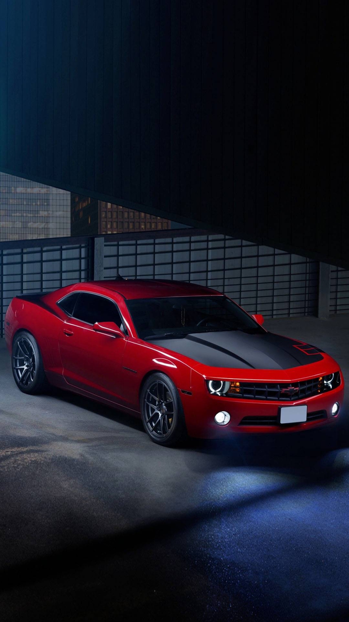 mustang