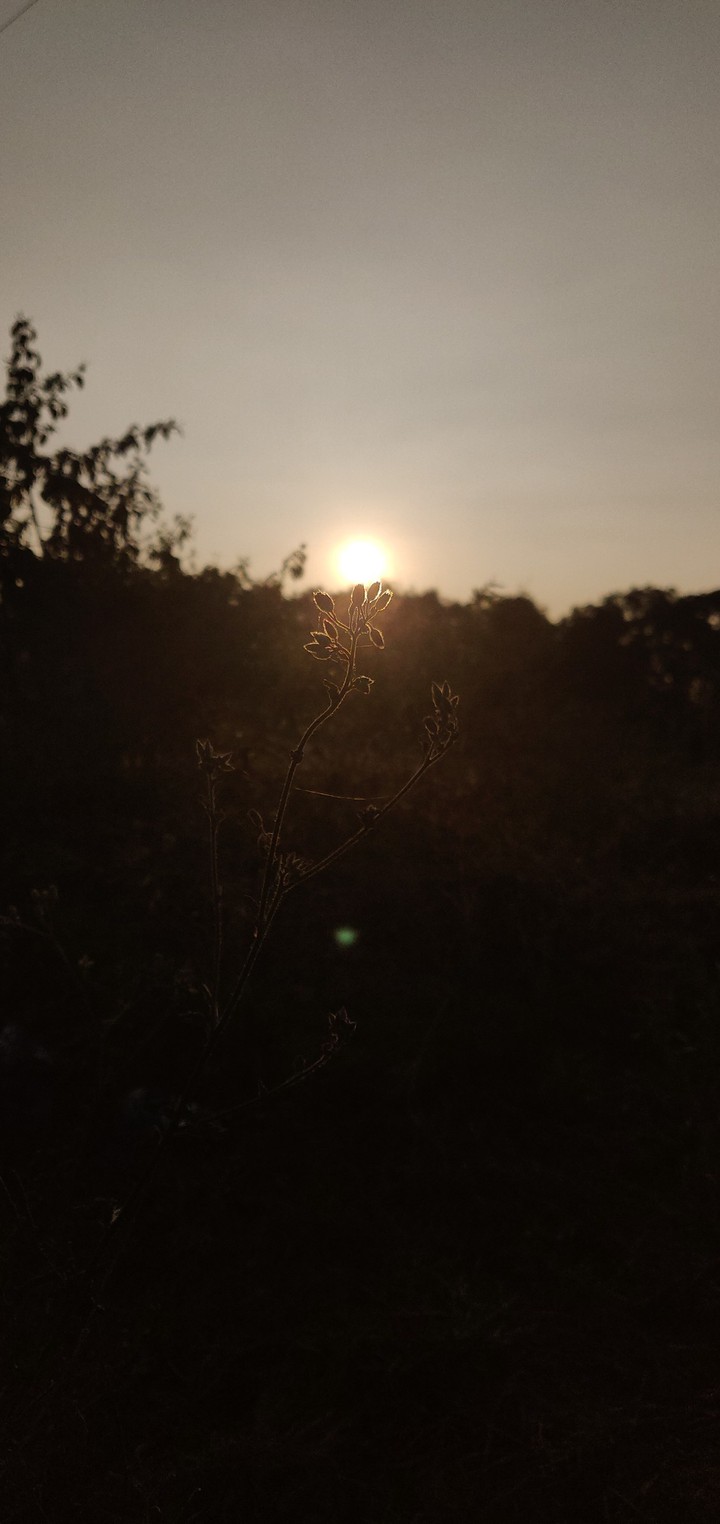 nature at it's best