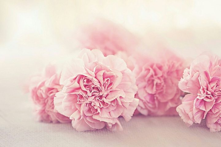 peony