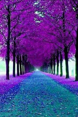 violet