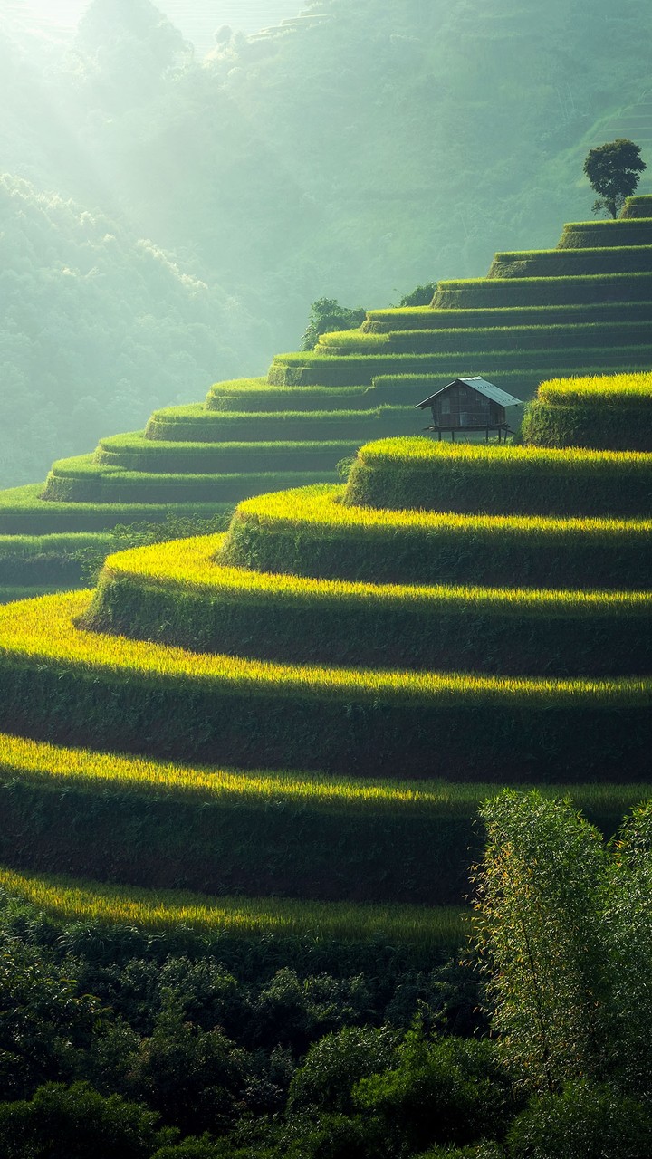 Greenery