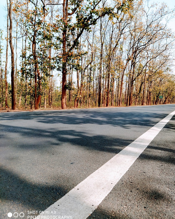beautiful road