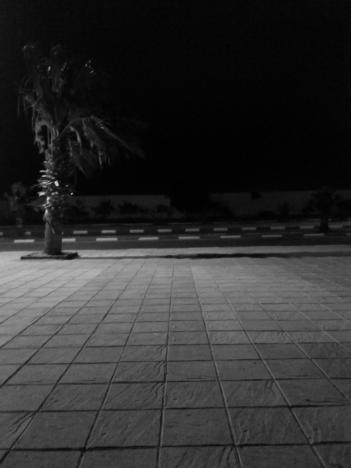 Black and white palm