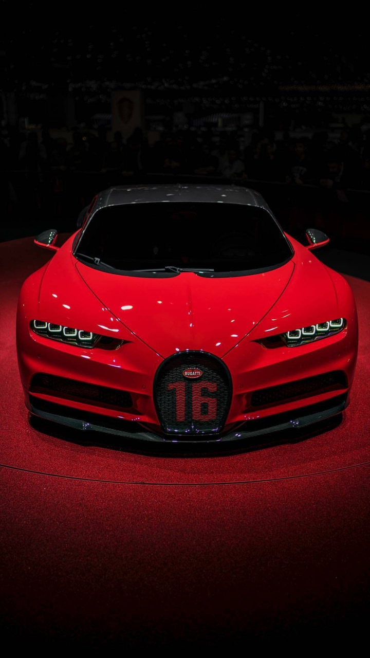 KING OF THE RACE