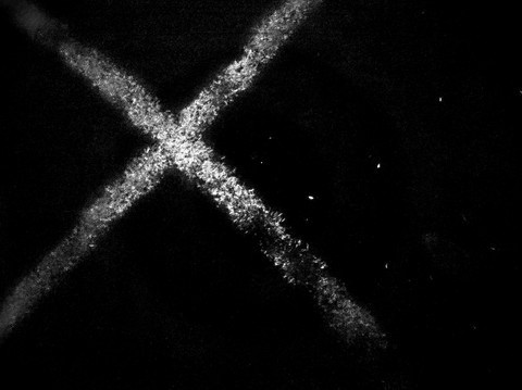 X