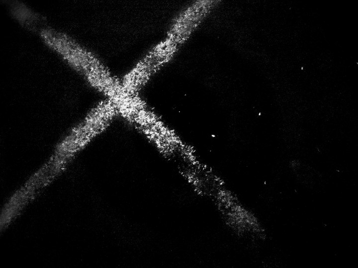 X