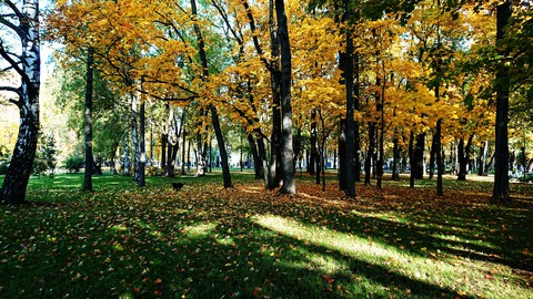 Осень