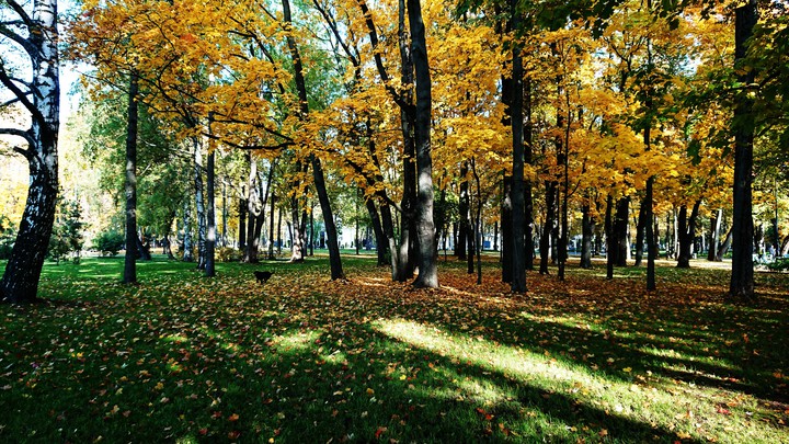 Осень