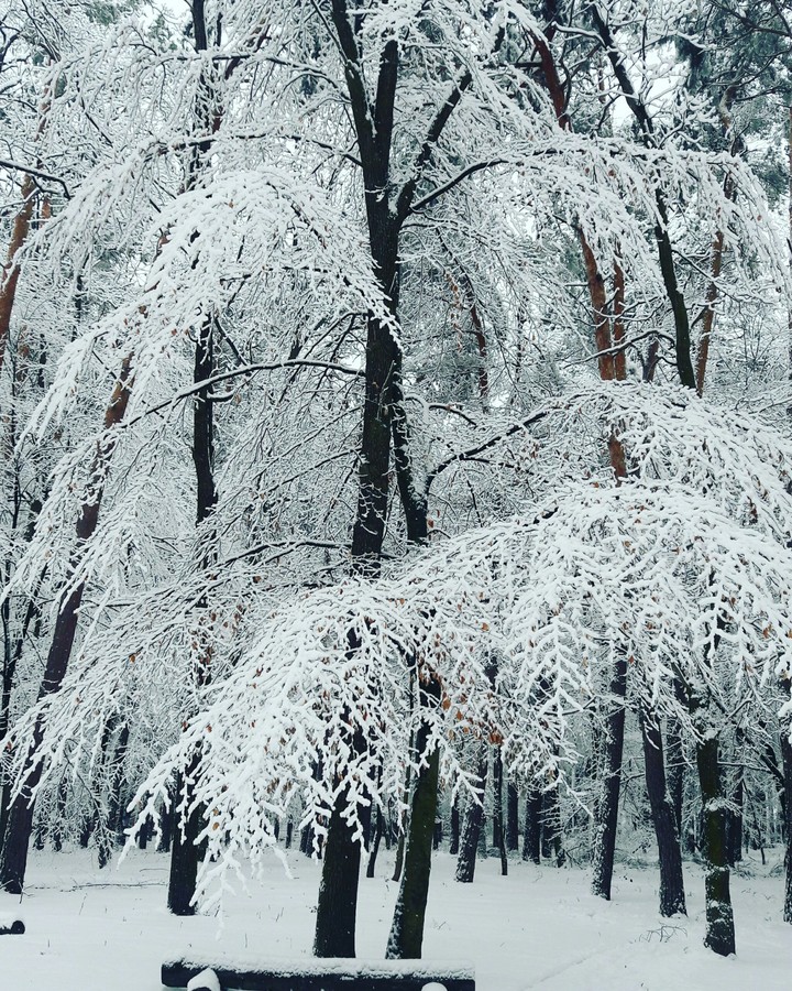 snow fairy tale