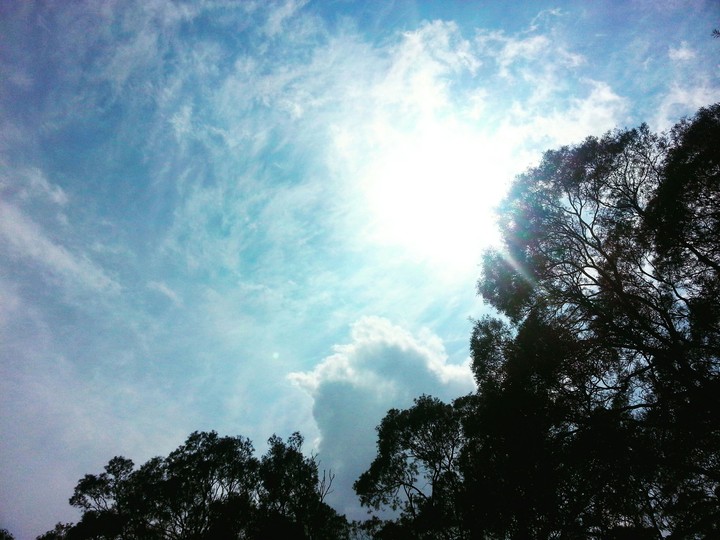 Sky