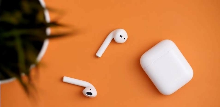 Apple Earphones