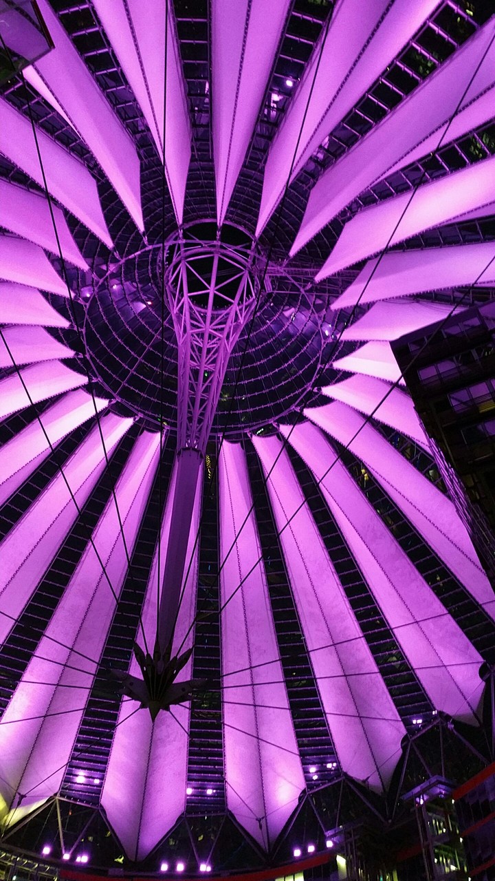 amazing lights
