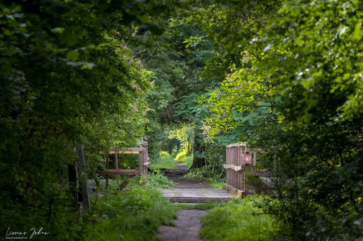 follow the path