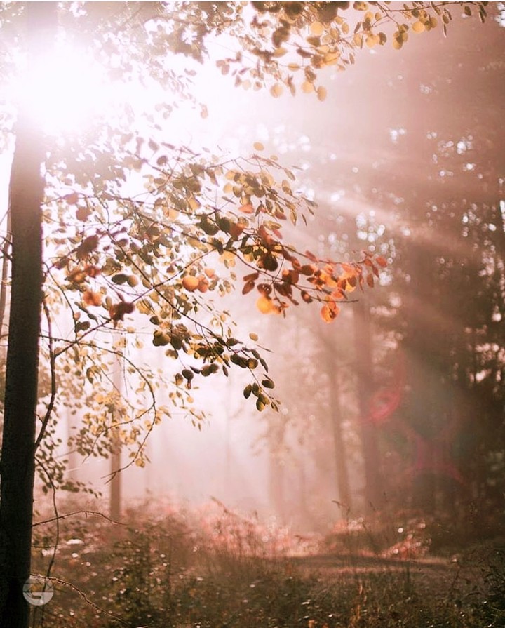 nature