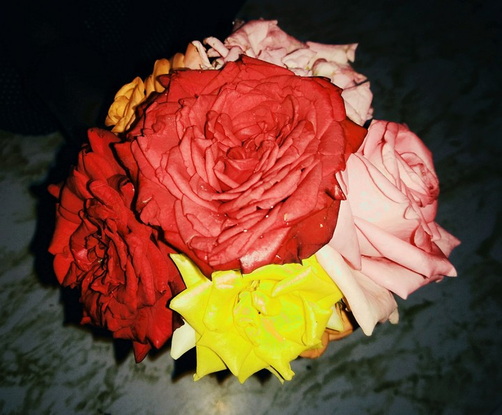roses , flowers, rose