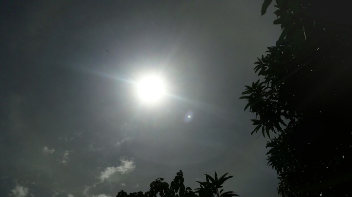 Sunny Day