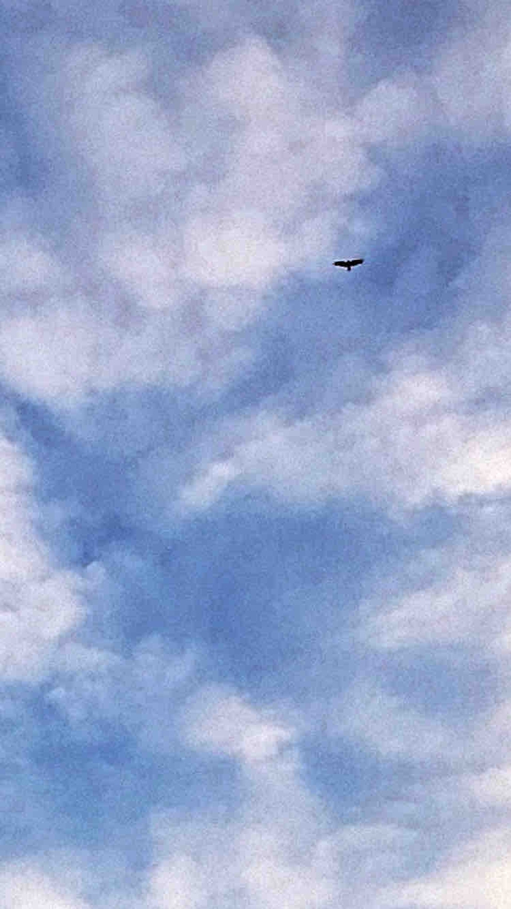 небо