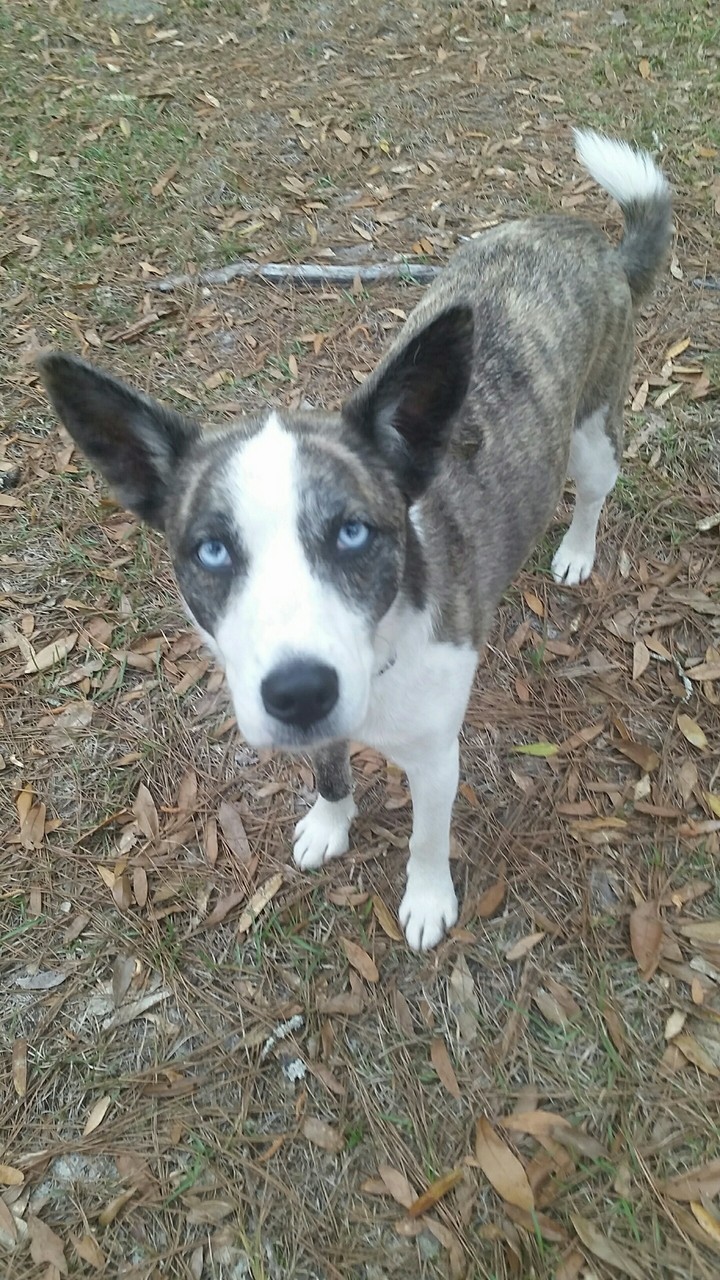 Blue eyes