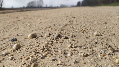 Homok út/Sand road/Camino de arena
