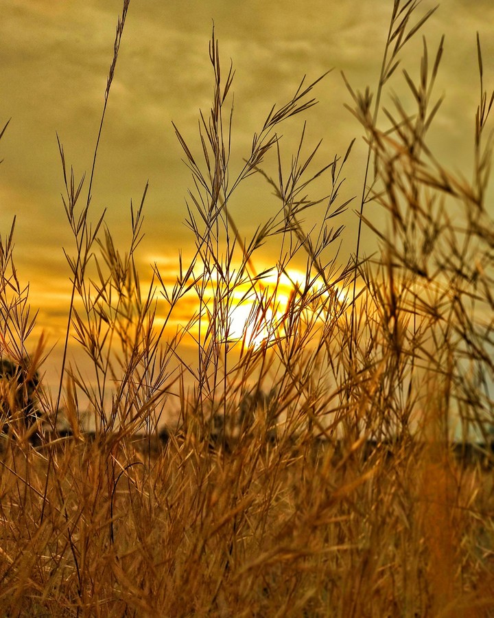 evening sun wallpaper
