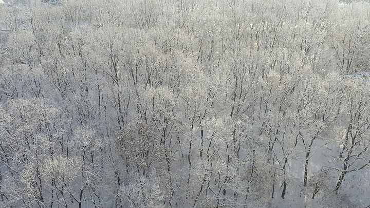 겨울