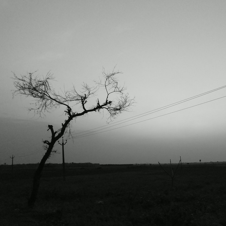 everything is lost....