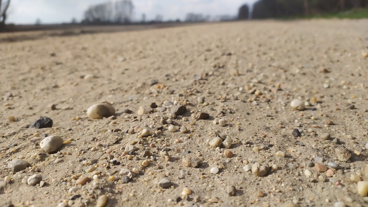 Homok út/Sand road/Camino de arena