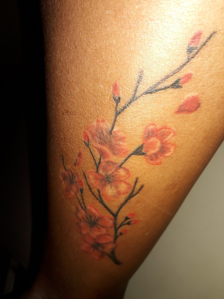 minha tatu