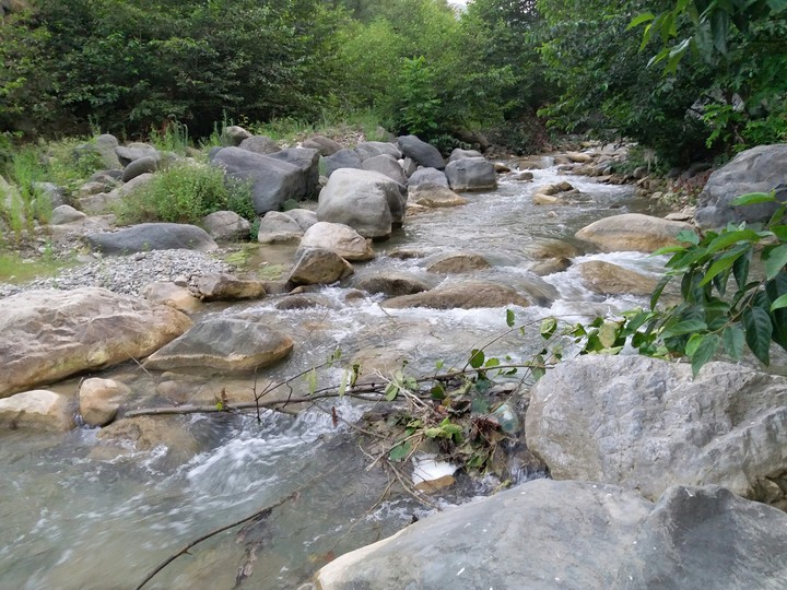 Water
