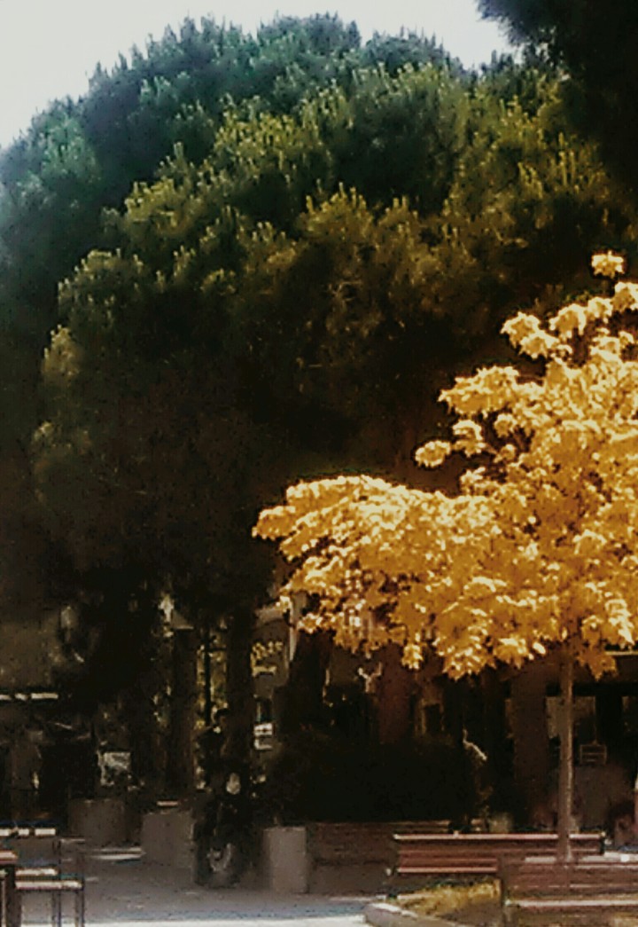 colours