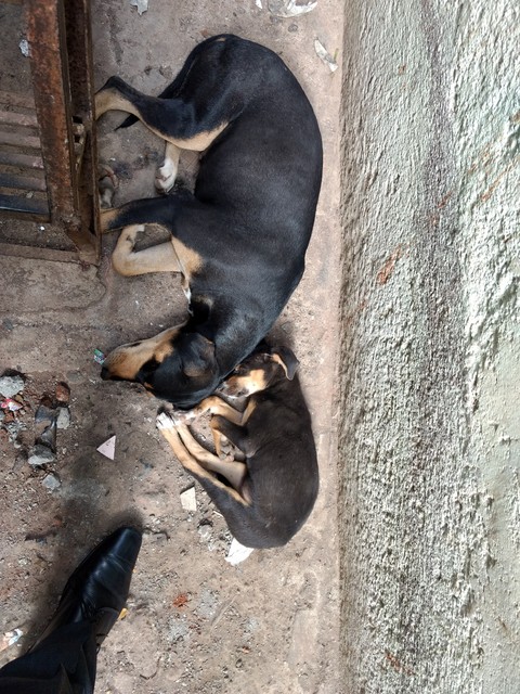 The copy version 2 - Sleeping