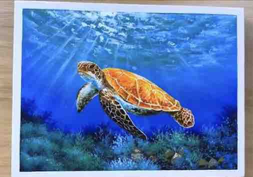 Turtle