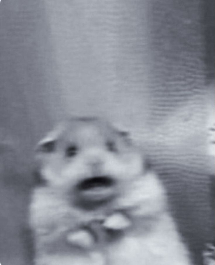 aaaaa