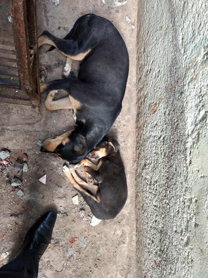 The copy version 2 - Sleeping